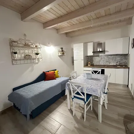 Marisol Porto Cesareo